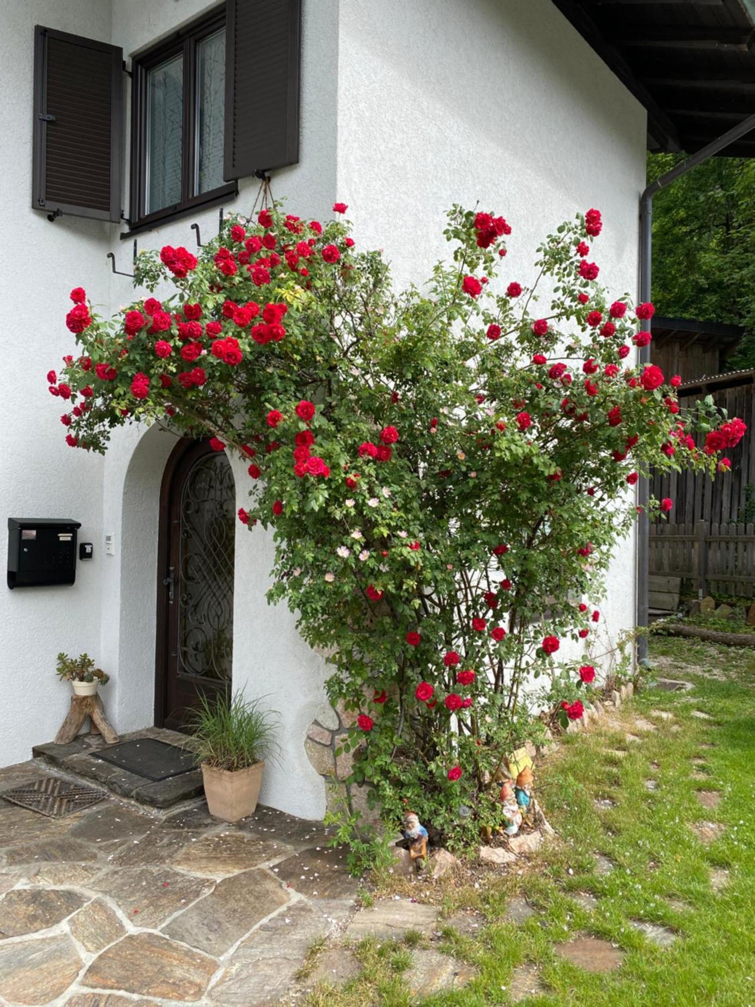 Ferienwohnung Laimer, Radau 37 Saint Wolfgang Exteriér fotografie